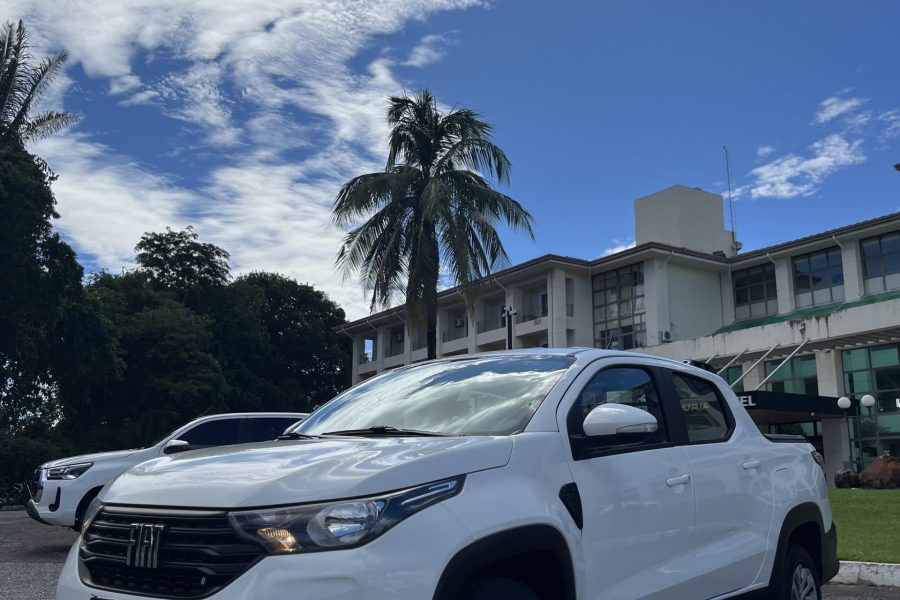 STRADA CD FREEDOM 1.3 FIREFLY FLEX